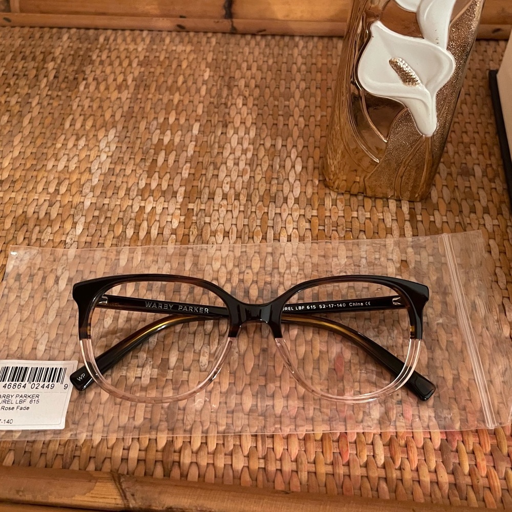 Warby Parker Laurel Glasses in Teal Rose Fade LBF